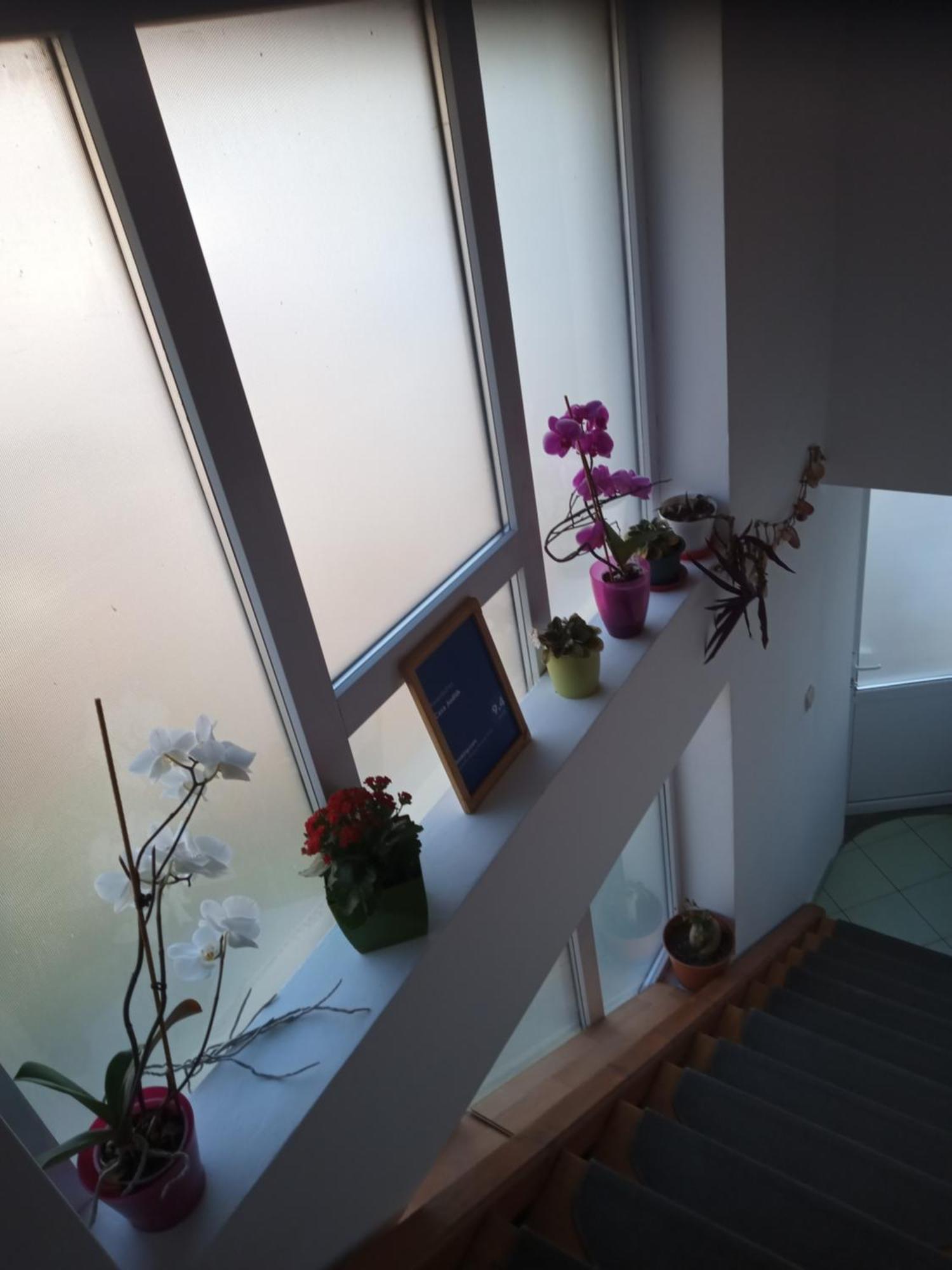 Casa Judith Torda Szoba fotó