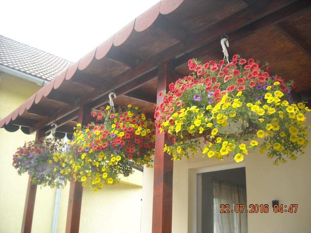 Casa Judith Torda Kültér fotó